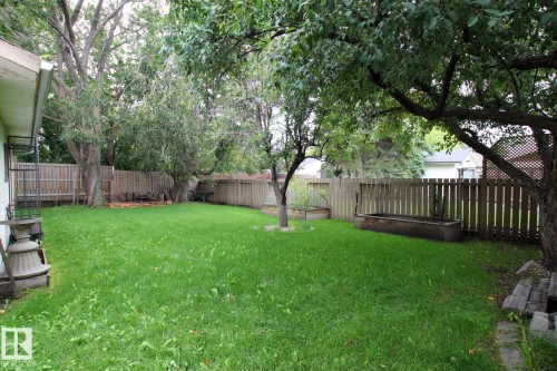Expansive grassy yard with mature trees, a wood privacy fence, and a raised garden bed - 18107 89 Avenue Nw, Edmonton, AB - Outdoor With Backyard
