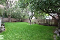 Expansive grassy yard with mature trees, a wood privacy fence, and a raised garden bed - 