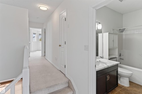 Plush carpeted stairs and hallway leading to additional rooms - 1707 37A Avenue Nw, Edmonton, AB - Indoor Photo Showing Bathroom