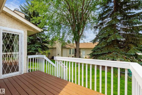 Expansive outdoor deck with wood-finish flooring and white railings - #21 9375 172 St Nw, Edmonton, AB - Outdoor With Deck Patio Veranda