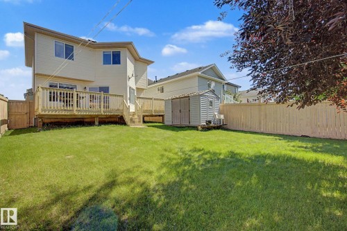 Expansive backyard featuring a manicured lawn, a large wood deck with steps, privacy fencing, and a storage shed - 3236 21 Street Nw, Edmonton, AB - Outdoor With Deck Patio Veranda