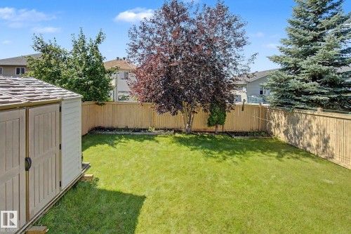 Expansive lawn area, mature trees, wood fence enclosure, and a storage shed - 3236 21 Street Nw, Edmonton, AB - Outdoor With Backyard