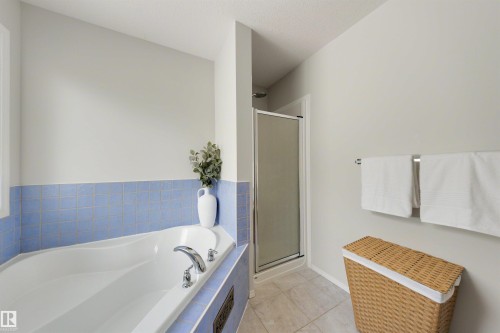 728 173 Street Sw, Edmonton, AB - Indoor Photo Showing Bathroom