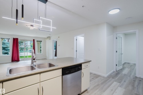 #108 278 Suder Greens Dr Nw, Edmonton, AB - Indoor Photo Showing Kitchen With Double Sink