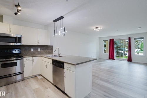 #108 278 Suder Greens Dr Nw, Edmonton, AB - Indoor Photo Showing Kitchen With Double Sink