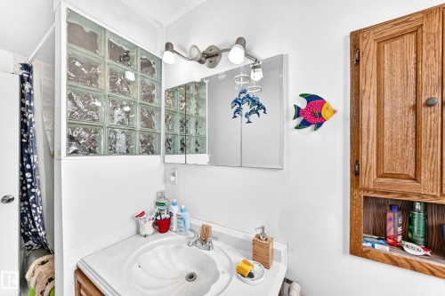 12031 90 Street Nw, Edmonton, AB - Indoor Photo Showing Bathroom
