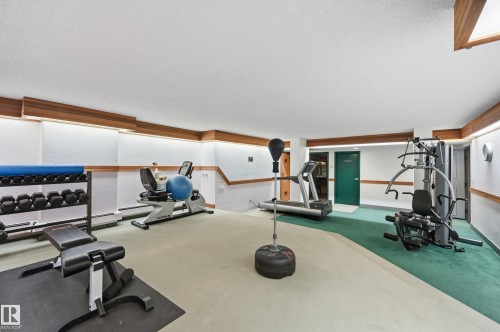 9929 113 Street Nw, Edmonton, AB - Indoor Photo Showing Gym Room