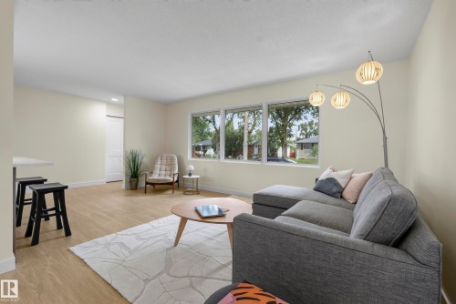8715 64 Avenue Nw, Edmonton, AB - Indoor Photo Showing Living Room