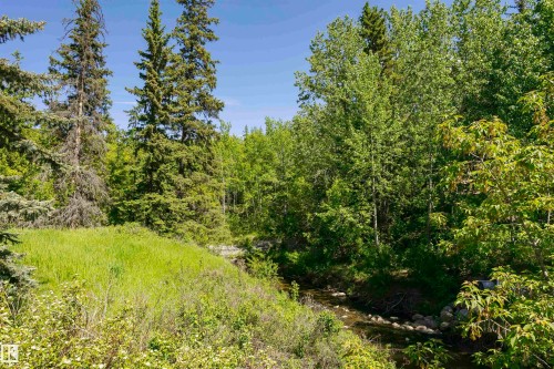 Wooded landscape featuring a natural creek, mature evergreen trees, and diverse deciduous foliage - #208 9907 91 Av Nw, Edmonton, AB - Outdoor