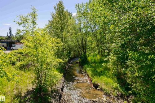 Natural waterway bordered by lush greenery and mature trees - #208 9907 91 Av Nw, Edmonton, AB - Outdoor