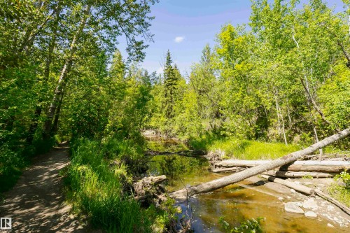 Wooded natural area featuring a winding dirt path alongside a tranquil stream - #208 9907 91 Av Nw, Edmonton, AB - Outdoor With View