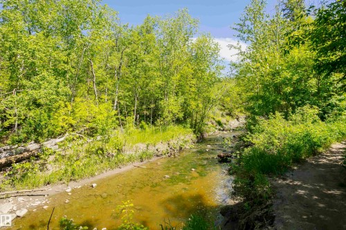 Natural creek with clear water and a rocky bed - #208 9907 91 Av Nw, Edmonton, AB - Outdoor