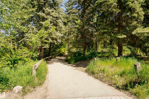 Wooded pathway with natural fencing, surrounded by mature trees and lush greenery - #208 9907 91 Av Nw, Edmonton, AB - Outdoor