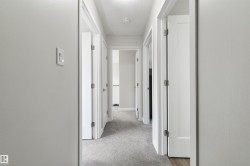 Carpeted hallway featuring multiple white paneled doors and light gray walls - 