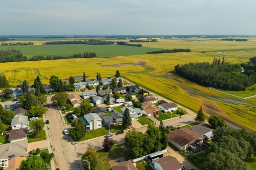 Residential neighborhood with mature trees, established streets, and expansive agricultural fields - 4614 53 Ave, Calmar, AB - Outdoor With View