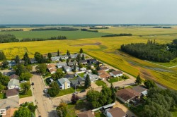 Residential neighborhood with mature trees, established streets, and expansive agricultural fields - 