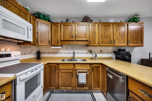 10636 153 Avenue Nw, Edmonton, AB - Indoor Photo Showing Kitchen With Double Sink