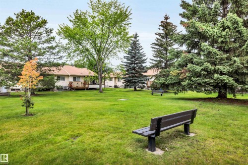 10636 153 Avenue Nw, Edmonton, AB - Outdoor With Deck Patio Veranda