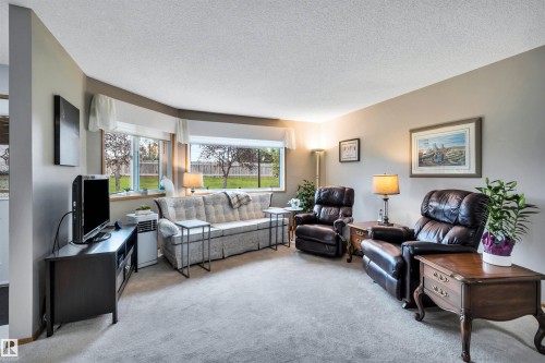 10636 153 Avenue Nw, Edmonton, AB - Indoor Photo Showing Living Room