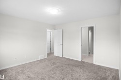 Neutral wall color, carpeted flooring, overhead lighting, white trim, and white interior doors - 