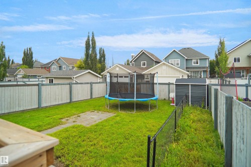 Expansive backyard oasis featuring a large trampoline, manicured lawn, mature poplar trees, and metal fencing - 8432 18 Avenue Sw, Edmonton, AB - Outdoor