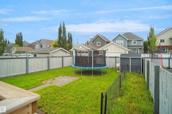 Expansive backyard oasis featuring a large trampoline, manicured lawn, mature poplar trees, and metal fencing - 