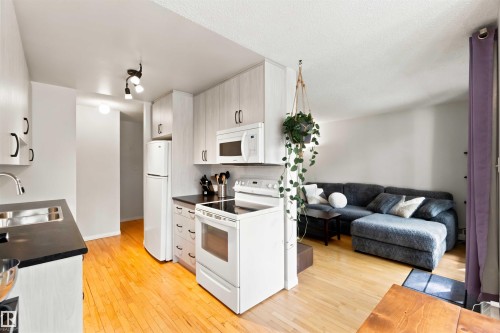#201 10504 77 Av Nw, Edmonton, AB - Indoor Photo Showing Kitchen