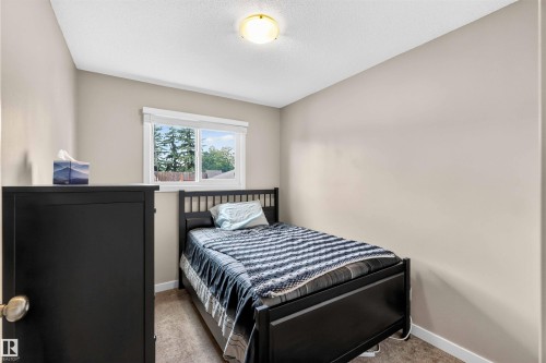 17132 96 Street Nw, Edmonton, AB - Indoor Photo Showing Bedroom