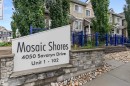 #98 4050 Savaryn Dr Sw, Edmonton, AB  - Outdoor 