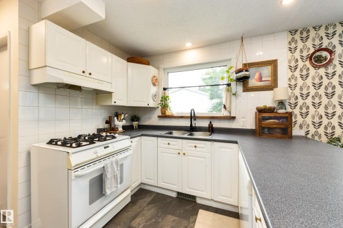 4233 85 Street Nw, Edmonton, AB - Indoor Photo Showing Kitchen With Double Sink