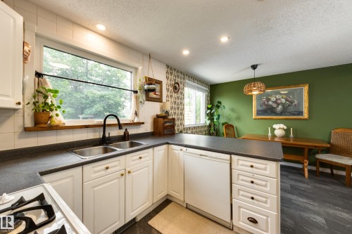 4233 85 Street Nw, Edmonton, AB - Indoor Photo Showing Kitchen With Double Sink