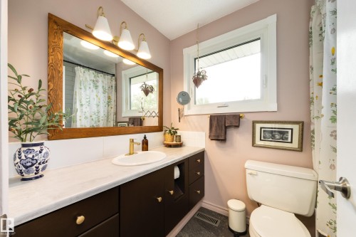 4233 85 Street Nw, Edmonton, AB - Indoor Photo Showing Bathroom
