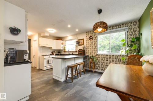 4233 85 Street Nw, Edmonton, AB - Indoor