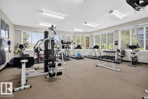 Fitness room featuring multiple exercise machines, carpeted flooring, and abundant natural light from numerous windows - #116 237 Youville Dr E Nw, Edmonton, AB - Indoor Photo Showing Gym Room