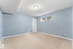 Recessed window with exterior greenery, neutral carpet flooring, white trim, and a flush-mount ceiling light - 