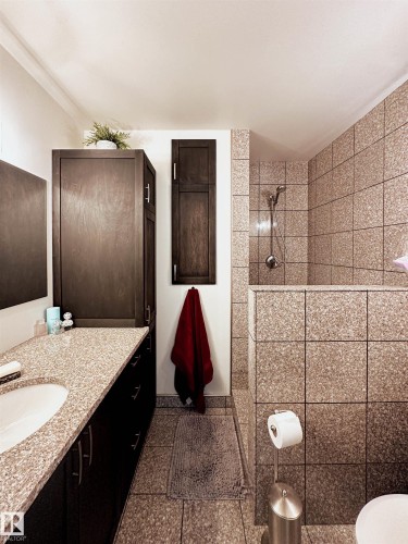 37 Ash Crescent, St. Albert, AB - Indoor Photo Showing Bathroom