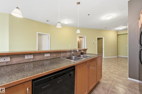 #248 4827 104A St Nw, Edmonton, AB - Indoor Photo Showing Kitchen With Double Sink