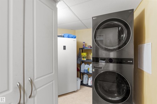 #218 2098 Blackmud Creek Dr Sw, Edmonton, AB - Indoor Photo Showing Laundry Room
