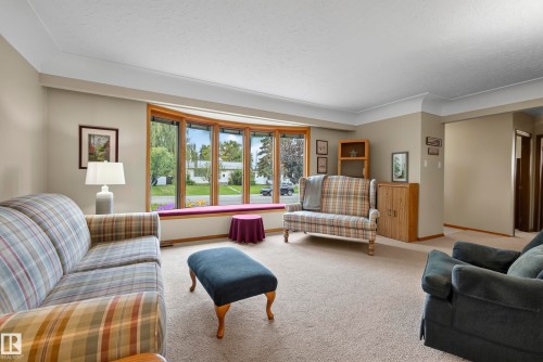 10623 67 Street Nw, Edmonton, AB - Indoor Photo Showing Living Room