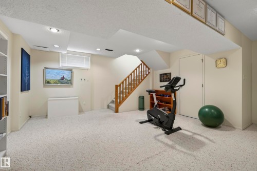 10623 67 Street Nw, Edmonton, AB - Indoor Photo Showing Gym Room