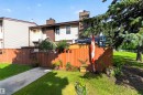 Fenced yard featuring a concrete walkway, mature tree, and adjacent green space - 17127 109 Street Nw, Edmonton, AB  - Outdoor 
