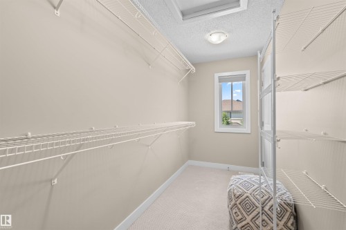 843 Armitage Wynd Sw, Edmonton, AB - Indoor With Storage