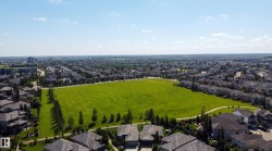 Expansive green space bordered by paved pathways and mature trees - 