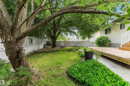 Mature shade trees frame this expansive backyard retreat, offering natural canopy coverage over a level lawn - 851 112A Street Nw, Edmonton, AB - Outdoor