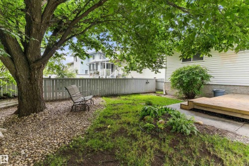 Expansive backyard featuring a mature tree, privacy fencing, and a wood deck - 851 112A Street Nw, Edmonton, AB - Outdoor