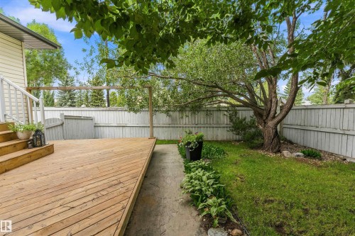Expansive wood deck with stairs, surrounded by a private fenced yard featuring mature trees and established plantings - 851 112A Street Nw, Edmonton, AB - Outdoor With Deck Patio Veranda