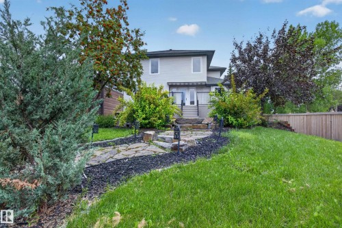 Lawn leading to a stone pathway and steps with a wood privacy fence and mature landscaping - 229 Hillcrest Crest, Sherwood Park, AB - Outdoor