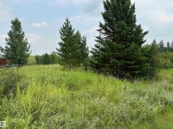 118 56512 RNG RD 111  Rural St. Paul County, AB T0A 3A0