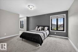 Light gray carpeting throughout, featuring a dark accent wall - 