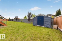 Expansive backyard featuring a manicured lawn, a blue storage shed with double doors, a wood privacy fence, and an additional gray fence - 